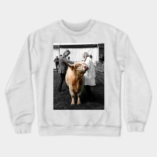 Northumberland Show Bull 2012 Crewneck Sweatshirt